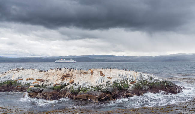 Vista dell'isolotto grezzo nel mare ondulato il giorno coperto in Argentina — Foto stock
