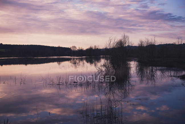 Bewölkter Abendhimmel über ruhigem See im Grünen — Stockfoto