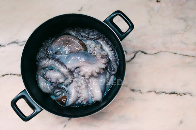 Свежий кальмар на мраморном столе — стоковое фото