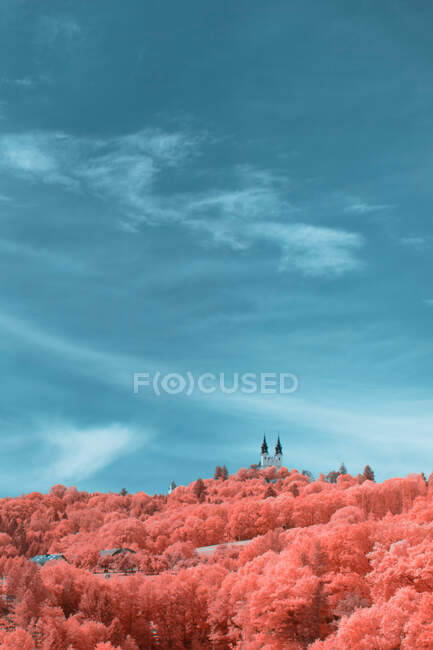 Majestätischer Drohnenblick auf wunderbaren Infrarotwald und entfernte mittelalterliche Burg vor hellem wolkenverhangenem Himmel in Linz, Österreich — Stockfoto