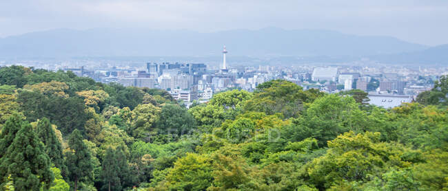 Majestic drone view of green forest tree and fantastic metropolitan city in Japan — Stock Photo