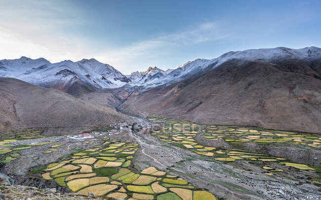 Красивый вид на зеленую плитку и грязную землю возле прекрасных снежных холмов в величественном Тибете — стоковое фото