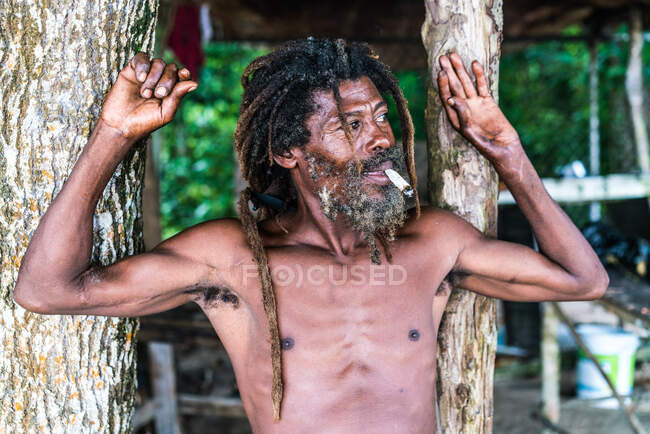 Afro-Américain mâle barbu avec dreadlocks et mains surélevées fumant cigare près des arbres — Photo de stock