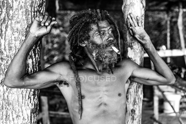 Africano americano barbudo macho com dreadlocks e upped mãos fumar charuto perto de árvores — Fotografia de Stock