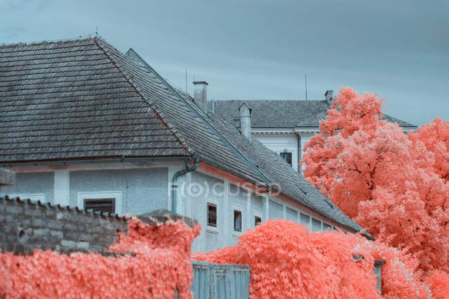 Árboles infrarrojos brillantes creciendo cerca de hermosas casas en la tranquila calle suburbana en Linz, Austria - foto de stock