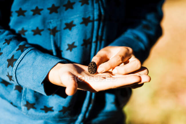 Crop umano in pullover blu con piccolo intoppo su palmo su sfondo sfocato — Foto stock