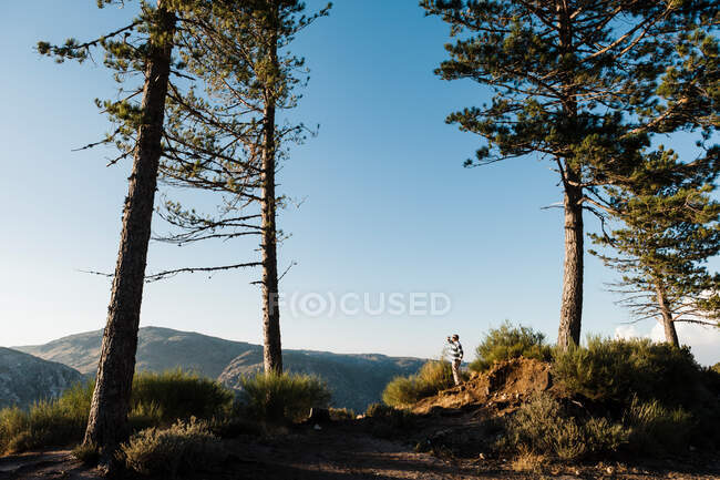 Side view of silhouette of male on top of hill between pine woods looking at mountains and blue sky in sunny day — Stock Photo