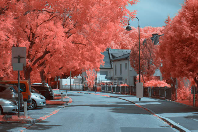Bela vista de árvores infravermelhas nos lados da estrada de asfalto na rua suburbana tranquila em Linz, Áustria — Fotografia de Stock