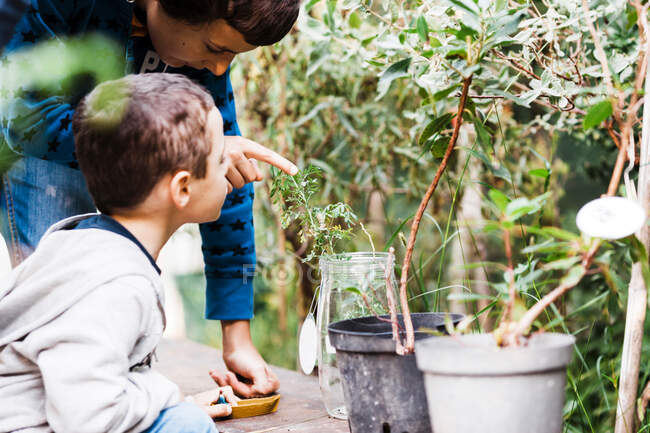Side view of human showing by finger and explaining boy about green plant in glass can — Stock Photo
