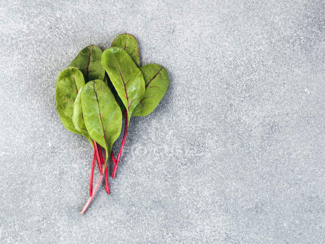 Bunch of fresh green chard leaves on gray stone background — Stock Photo