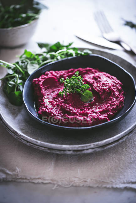 Hausgemachter Rote-Bete-Hummus auf Teller mit Kräutern — Stockfoto