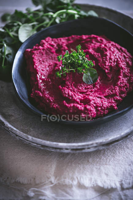 Homemade beetroot hummus on plate with herbs — Stock Photo