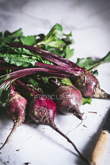 Fresh picked beetroots with stalks on white tabletop — Stock Photo