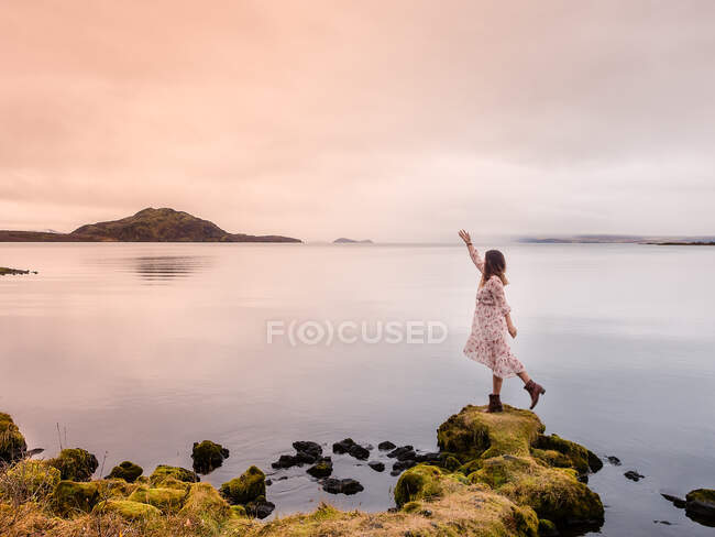 Vista lateral da mulher viajante em pé na margem do lago e puxando a mão para cima na Islândia — Fotografia de Stock