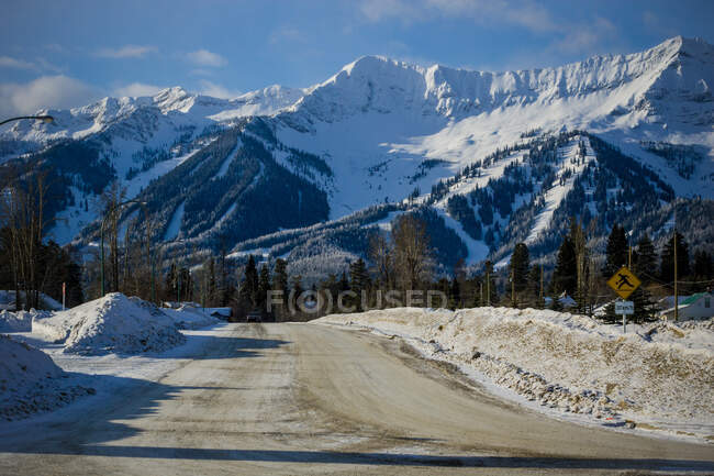 Vista pitoresca da rota rural e colinas com árvores no inverno no Canadá — Fotografia de Stock