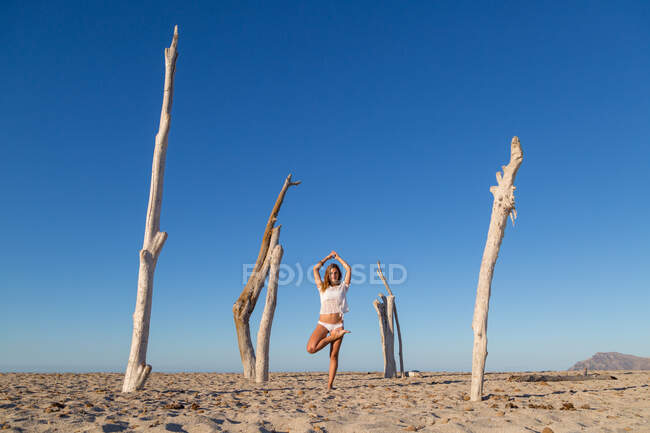 Young attractive woman standing in asana posture between dry trunks on beach in sunny day — Stock Photo