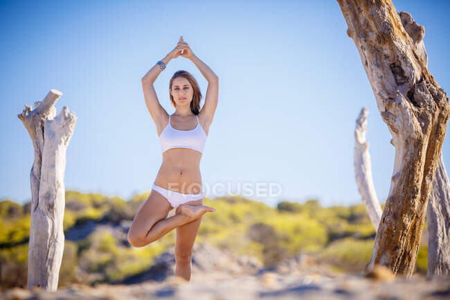 Joven mujer atractiva de pie en la postura asana entre troncos secos en la playa en el día soleado - foto de stock