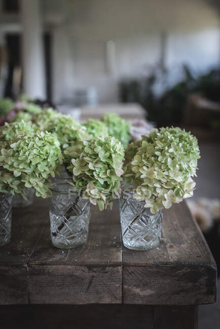 Wooden table with composition of fresh white hydrangea in glasses with water in room on blurred background — Stock Photo