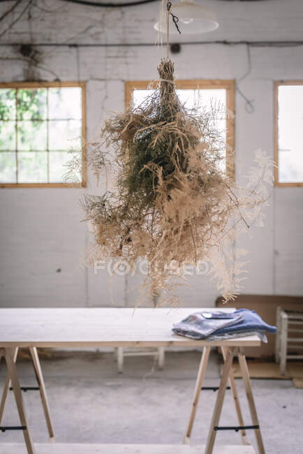 Conceito de bando de galhos de coníferas secagem e pendurado na torção na sala cinza com mesa — Fotografia de Stock
