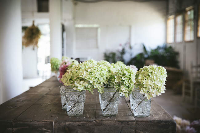 Holztisch mit Komposition aus frischen weißen Hortensien in Gläsern mit Wasser im Raum auf verschwommenem Hintergrund — Stockfoto