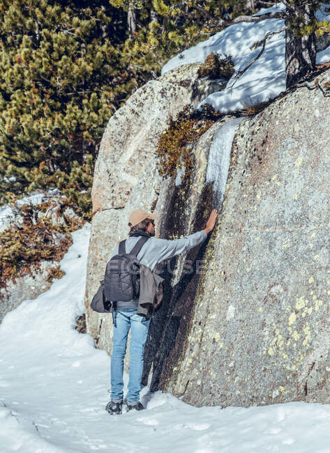 Вид сзади мужчины, трогающего скалу рядом с хвойными деревьями между снегом в Черкесии, Франция — стоковое фото