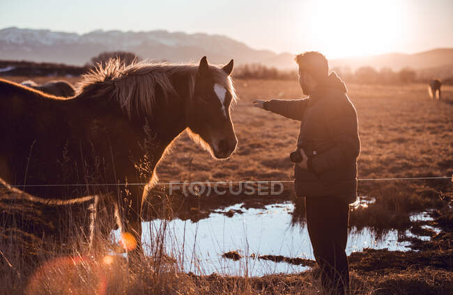 Seitenansicht eines Mannes, der an einem sonnigen Tag in Cerdanya, Frankreich, eine Pferdeweide in der Nähe einer Wasserpfütze zwischen Hügeln berührt, während er eine professionelle Kamera hält — Stockfoto