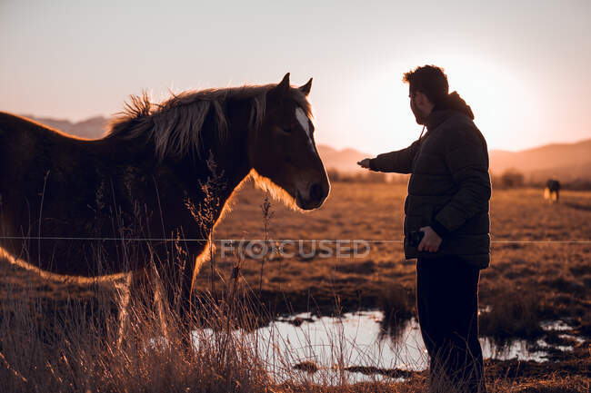 Vista laterale dell'uomo che tocca un cavallo che pascola sul prato vicino alla pozza d'acqua tra le colline mentre tiene una macchina fotografica professionale nella giornata di sole a Cerdanya, Francia — Foto stock