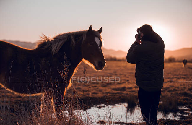 Back view of male taking photo of beautiful horse pasturing on meadow near water puddle between hills in sunny day in Cerdanya, France — Stock Photo