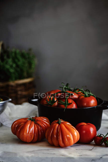Великі червоні стиглі помідори різних форм в горщику на столі біля сірої стіни — стокове фото