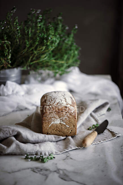 Delizioso pane di segale aromatico fresco sul tovagliolo vicino al coltello su sfondo sfocato — Foto stock