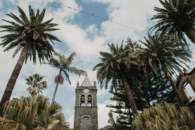 Dal basso splendida vista di palme verdi vicino alla vecchia torre alta e cielo blu con nuvole — Foto stock