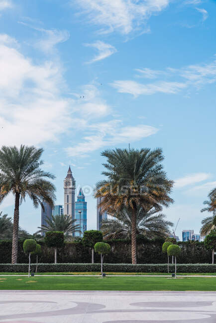 Bela vista do céu azul nublado sobre o maravilhoso parque da cidade com palmas exóticas no dia ensolarado em Dubai — Fotografia de Stock