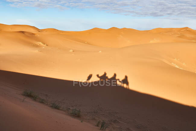 Desde arriba sombra en tierra de arena de camellos y personas que van en el desierto en Marrakech, Marruecos - foto de stock