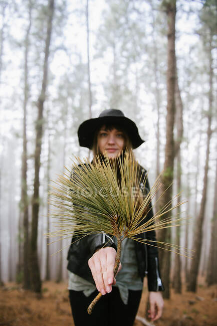 Молода жінка стоїть у вічнозеленому лісі і показує гілку дерева, дивлячись на камеру — стокове фото