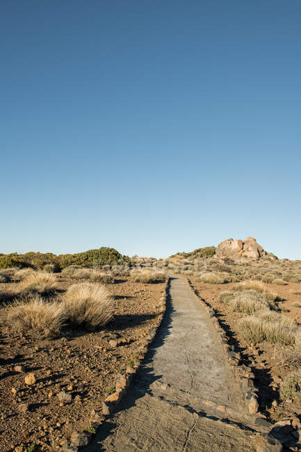 Вид на маленькую дорожку в пустыне с сухими растениями в солнечный день — стоковое фото