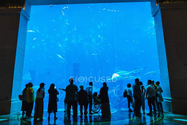 Gruppe anonymer Menschen betrachtet exotische Fische in großem Aquarium in Dubai — Stockfoto