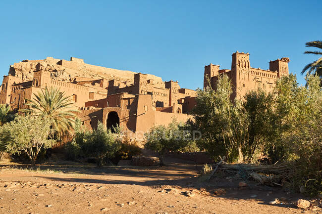 Constructions rocheuses dans la vieille ville près des arbres verts et du ciel bleu à Marrakech, Maroc — Photo de stock