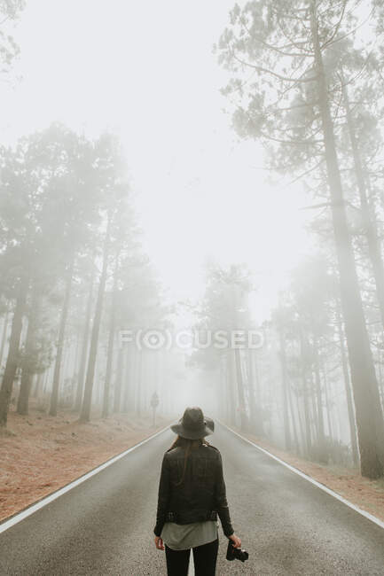 Rückansicht der reisenden Fotografin Frau steht mit Fotokamera auf Straße im nebligen Wald — Stockfoto
