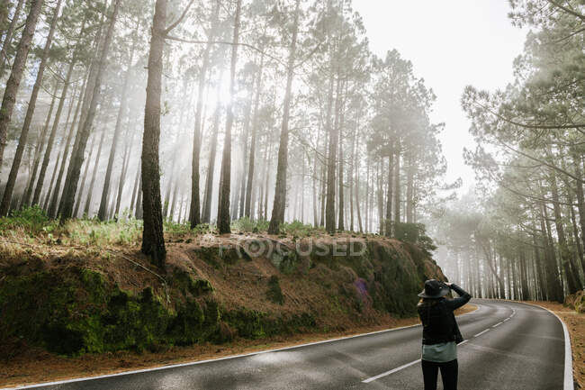 Woman taking picture in an asphalt road in foggy forest with tall tree trunks covered with moss — Stock Photo