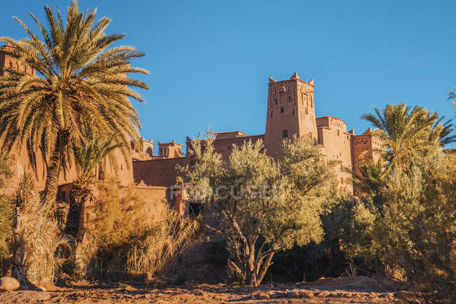 Construções rochosas na cidade velha perto de árvores verdes e céu azul em Marraquexe, Marrocos — Fotografia de Stock