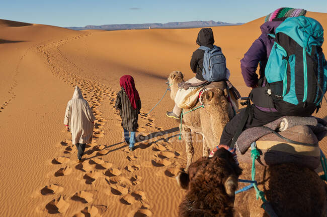 Vista posterior de camellos y personas que van entre tierras de arena en el desierto en Marrakech, Marruecos - foto de stock