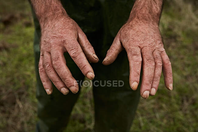 Faceless man showing his old rough hands of laborer working on farm, Canary Islands — Stock Photo