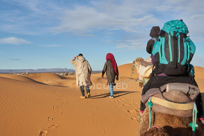 Vista posteriore di cammelli e persone che vanno tra le terre di sabbia nel deserto a Marrakech, Marocco — Foto stock