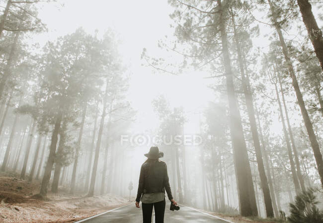 Вид ззаду жінка мандрівного фотографа, що стоїть на дорозі в туманному лісі з фотоапаратом — стокове фото