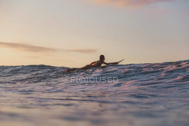 На Балі (Індонезія) вид веселої самиці, що плаває на пристані між водою моря і блакитним небом. — стокове фото