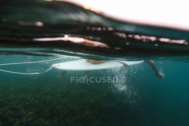 Vista lateral de la hembra del cultivo flotando en la tabla de surf entre el agua azul del mar en Bali, Indonesia - foto de stock