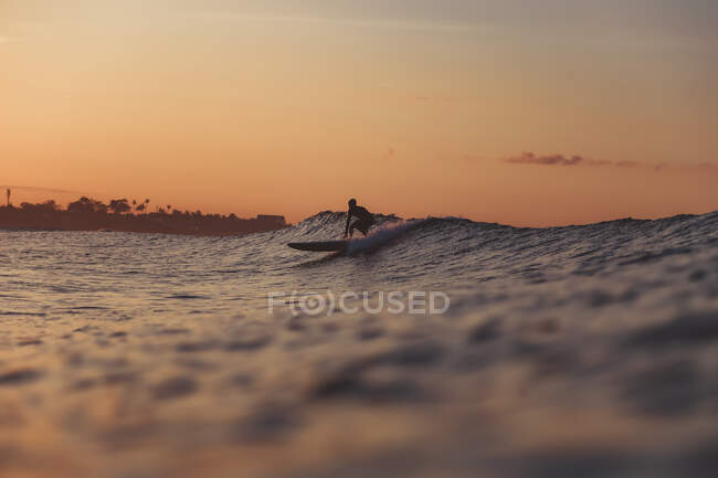 Vue latérale de la silhouette du surf masculin entre l'eau de mer et le ciel en soirée sur Bali, Indonésie — Photo de stock