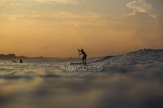 Side view of silhouettes of males with paddle on surf board between water of sea and sky in evening on Bali, Indonesia — Stock Photo