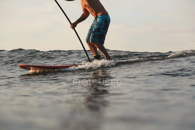 Crop bottom of male surfing between water of sea on Bali, Indonesia — Stock Photo