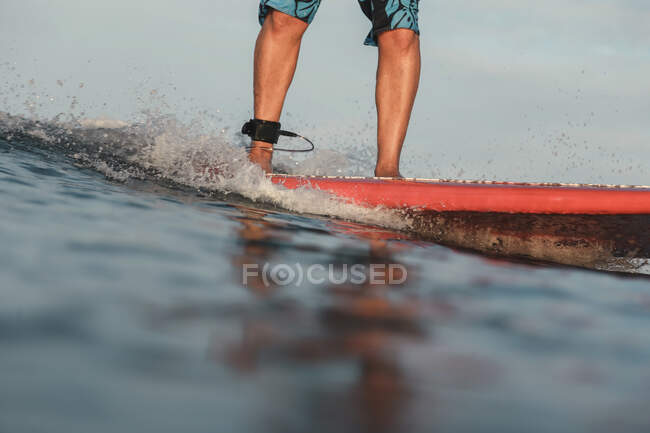 Cultivo piernas de surf masculino entre el agua del mar en Bali, Indonesia - foto de stock